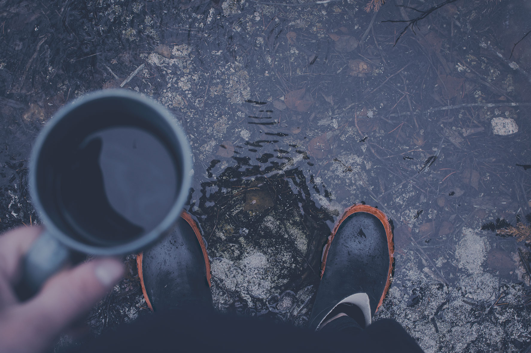 Whatever the weather our Graphic Design and Web building studio will bring your ideas to life