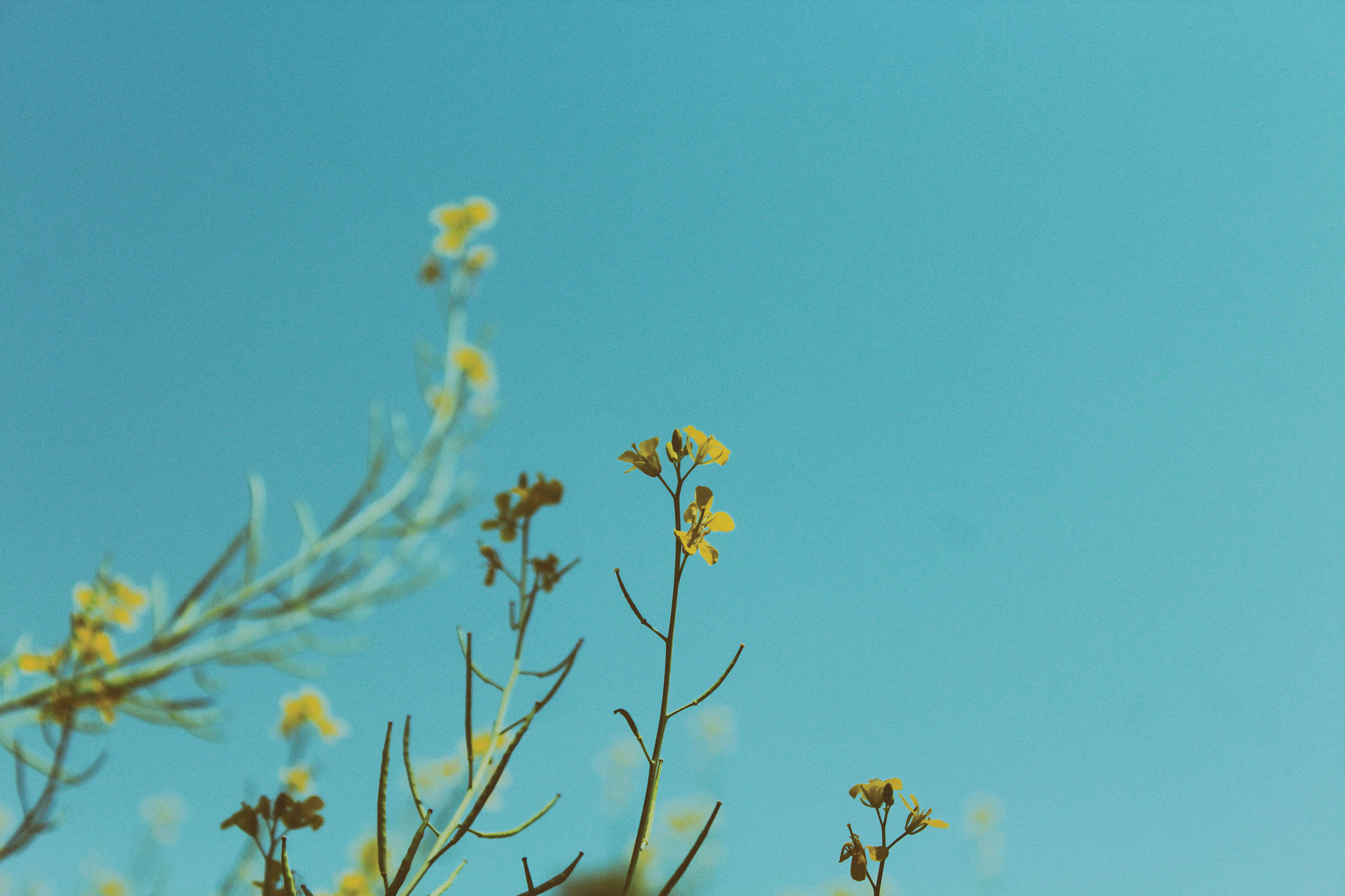 Our image Manipulation will give you a fresh look